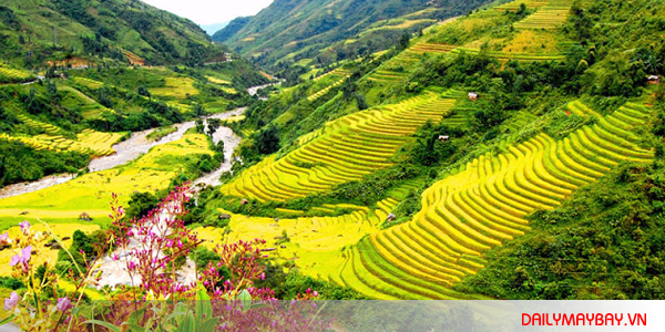 ve-may-bay-sai-gon-ha-noi-dip-giang-sinh