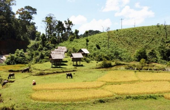  Đại lý vé máy bay các hãng hàng không huyện An Lão