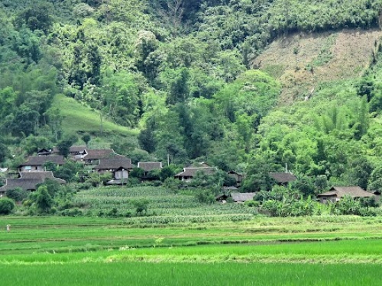  Đại lý vé máy bay các hãng hàng không huyện Na Rì