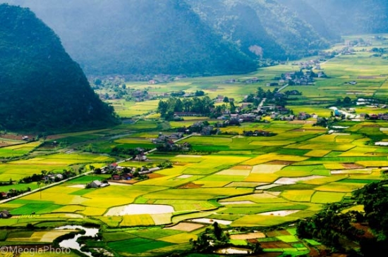 Đại lý vé máy bay tại Huyện Bắc Sơn