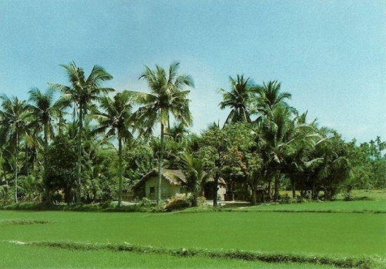  Đại lý vé máy bay các hãng hàng không huyện Giồng Trôm