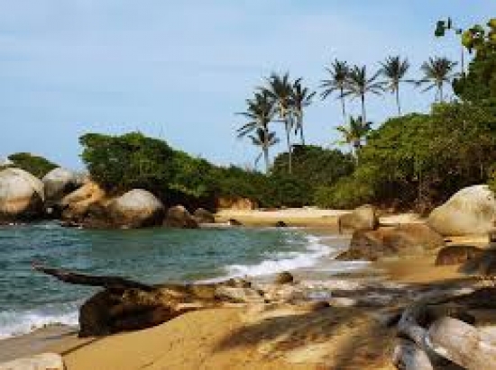  Vé máy bay đi Colombia