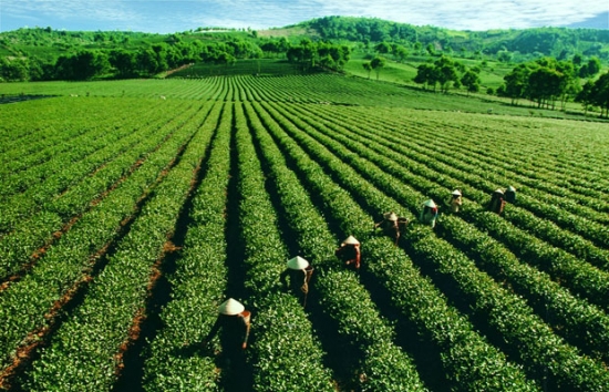  Đại lý vé máy bay tại Huyện Đông Giang