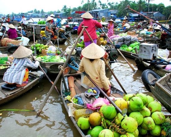  Vé máy bay Cần Thơ Vinh