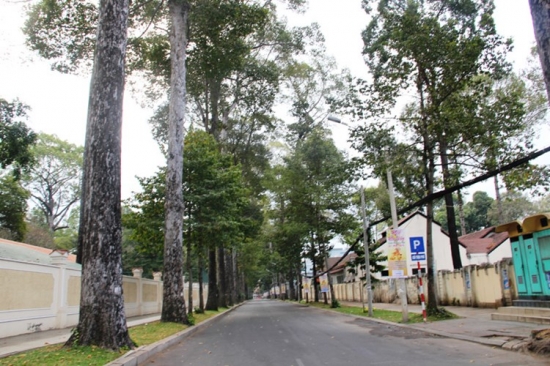 Đại lý máy bay Đường Huyền Tân Công Chúa Quận 1