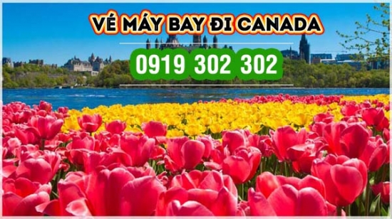  Lưu ý khi đặt mua vé máy bay đi Canada mùa hoa Tulip