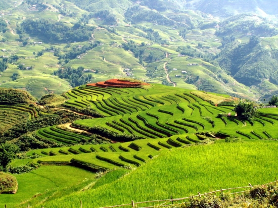  Đại lý vé máy bay Jetstar tại Lào Cai