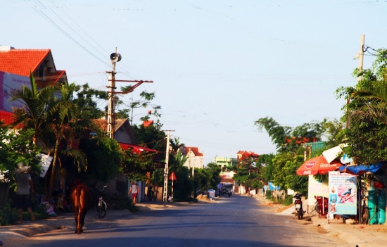  Đại lý vé máy bay tại Huyện Nga Sơn