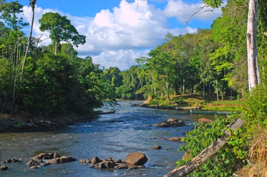  Vé máy bay đi Suriname