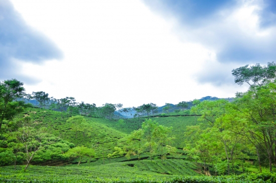  Đại lý vé máy bay tại Huyện Thanh Ba