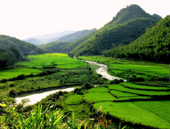  Vé máy bay Sài Gòn Thanh Hóa