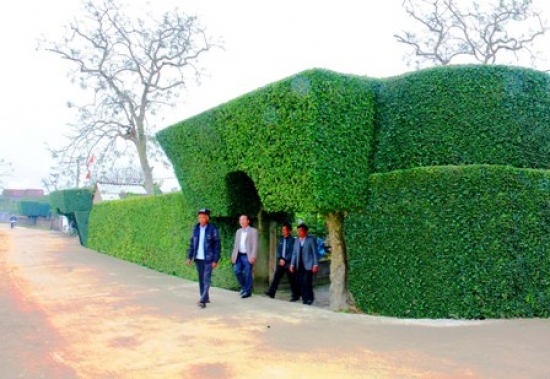  Đại lý vé máy bay tại Huyện Đức Thọ