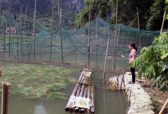 Đại lý vé máy bay tại Huyện Văn Quan