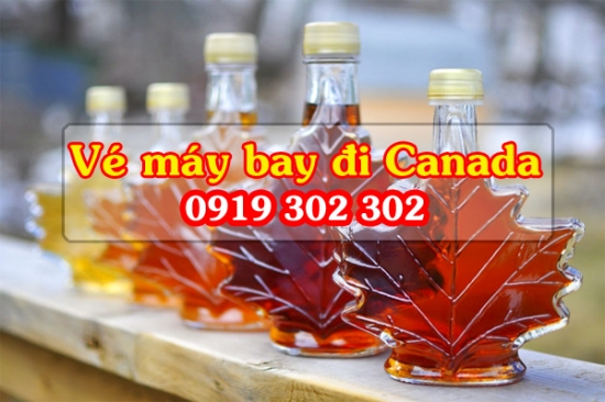  Vé máy bay đi Canada thưởng ngoạn mùa xuân