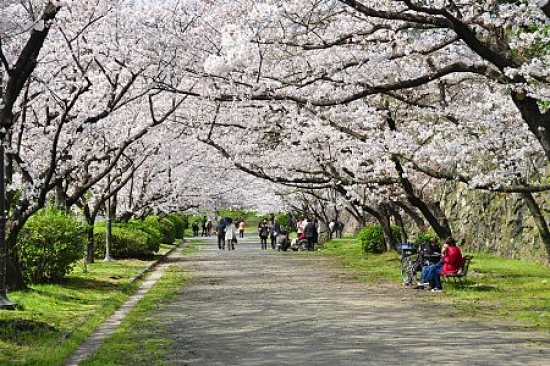  Vé máy bay đi Fukuoka