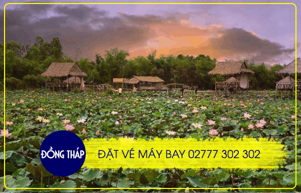 Điện thoại đặt vé máy bay tại Tỉnh Đồng Tháp