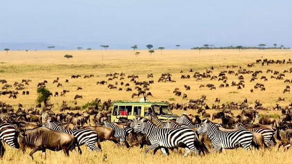 Công viên quốc gia Serengeti - Di sản thế giới của UNESCO.